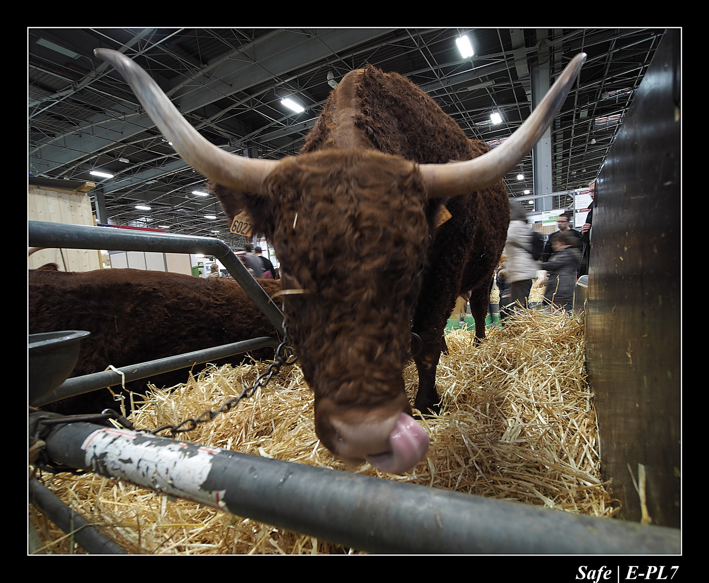 2020 - 02 - Salon agriculture 60